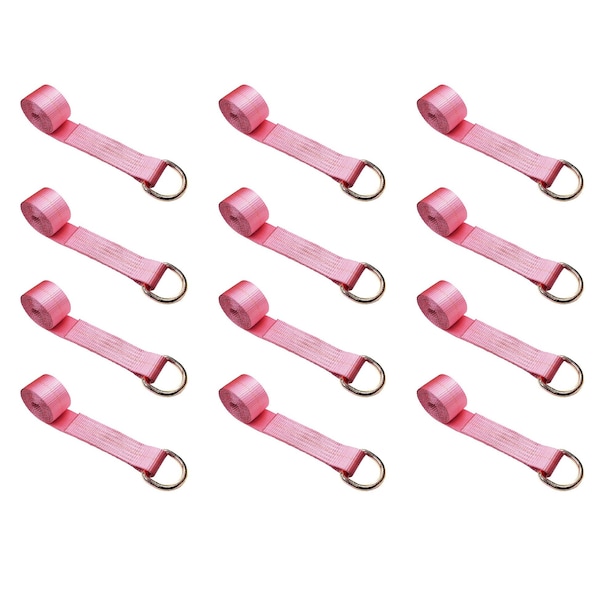 2" x 10' Lasso Strap w/ D Ring Auto Tie Down Wheel Lift Tow Truck Trailer, 12PK